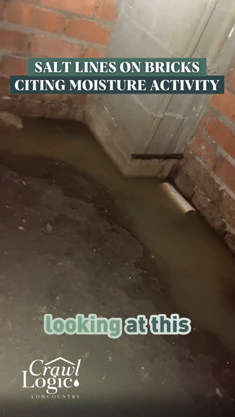 Flooded brick basement with salt lines, citing moisture activity. Dark water fills the space; a pipe is visible.
