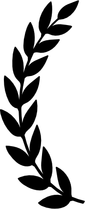 Black laurel branch on a white background.