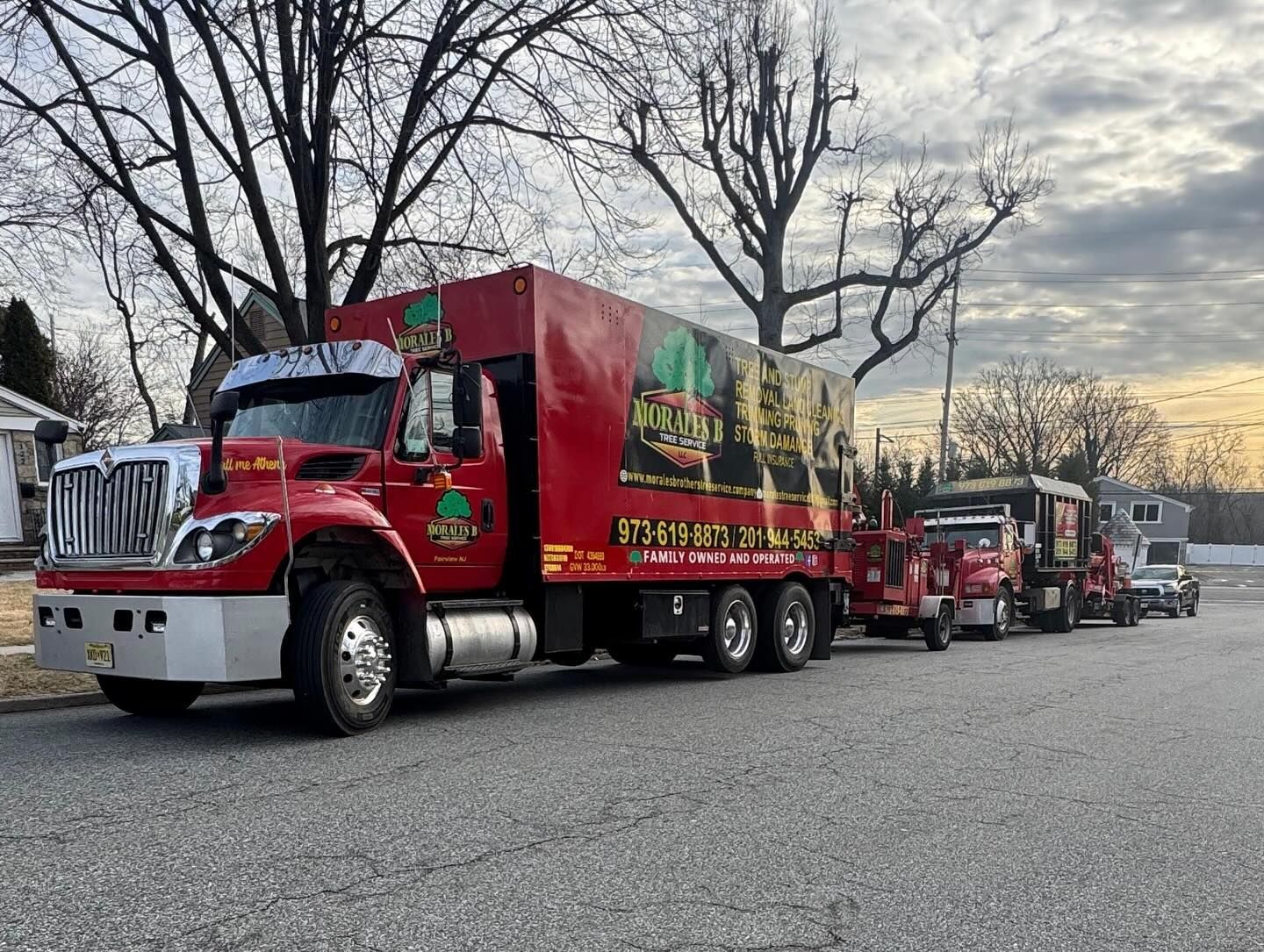 Morales Brothers Tree Service, LLC gallery 3