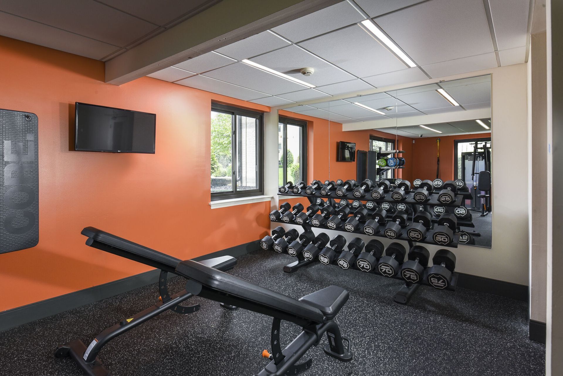Indoor fitness gym with dumbbells, bench, and mirrored wall in an orange-walled workout room at The Addison, offers apartments in North Wales, PA.