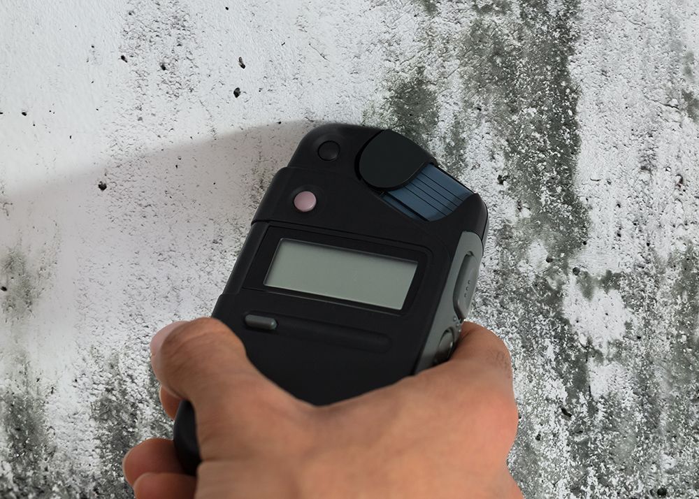 Radon & Mold Testing