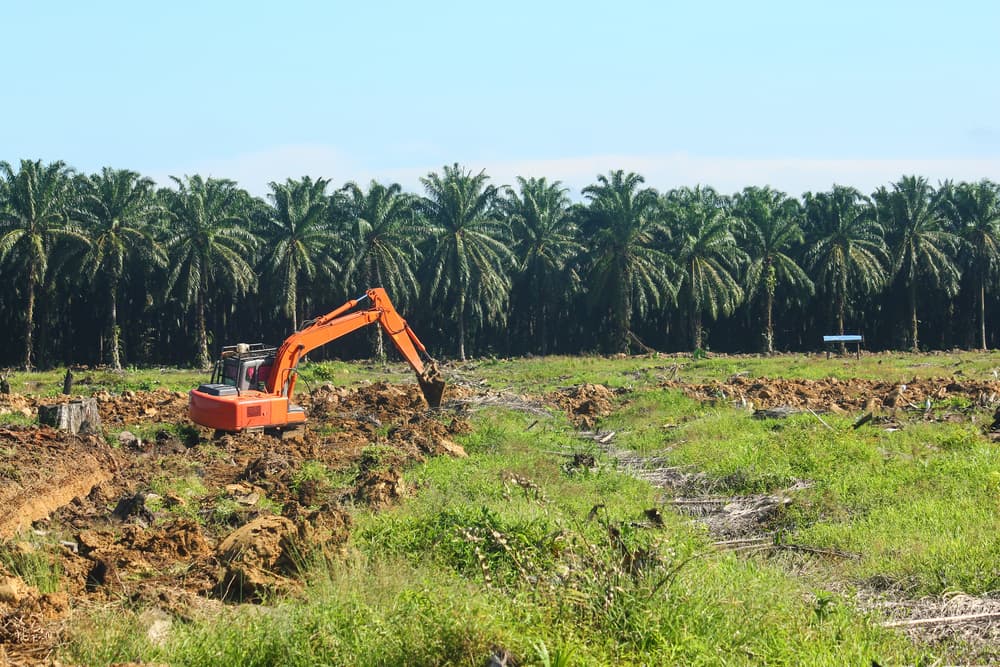 Excavator Digging In A Field - Land Clearing In Newcastle, NSW