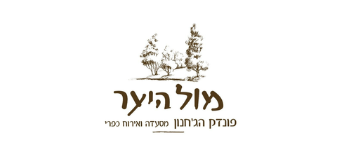 מול היער