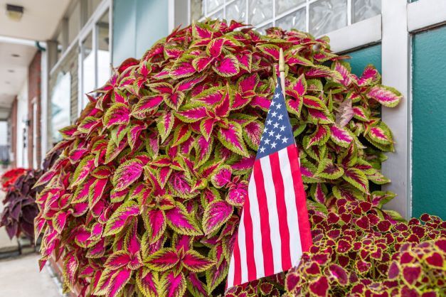 An american flag is hanging from a plant in front of a building.