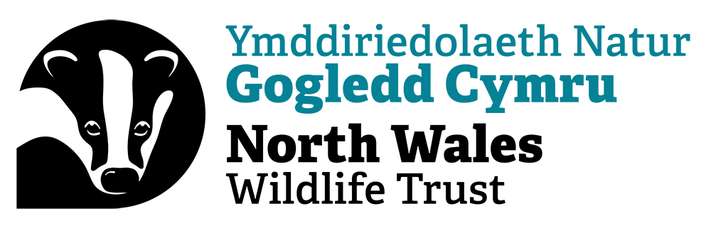 A black and white logo for the north wales wildlife trust