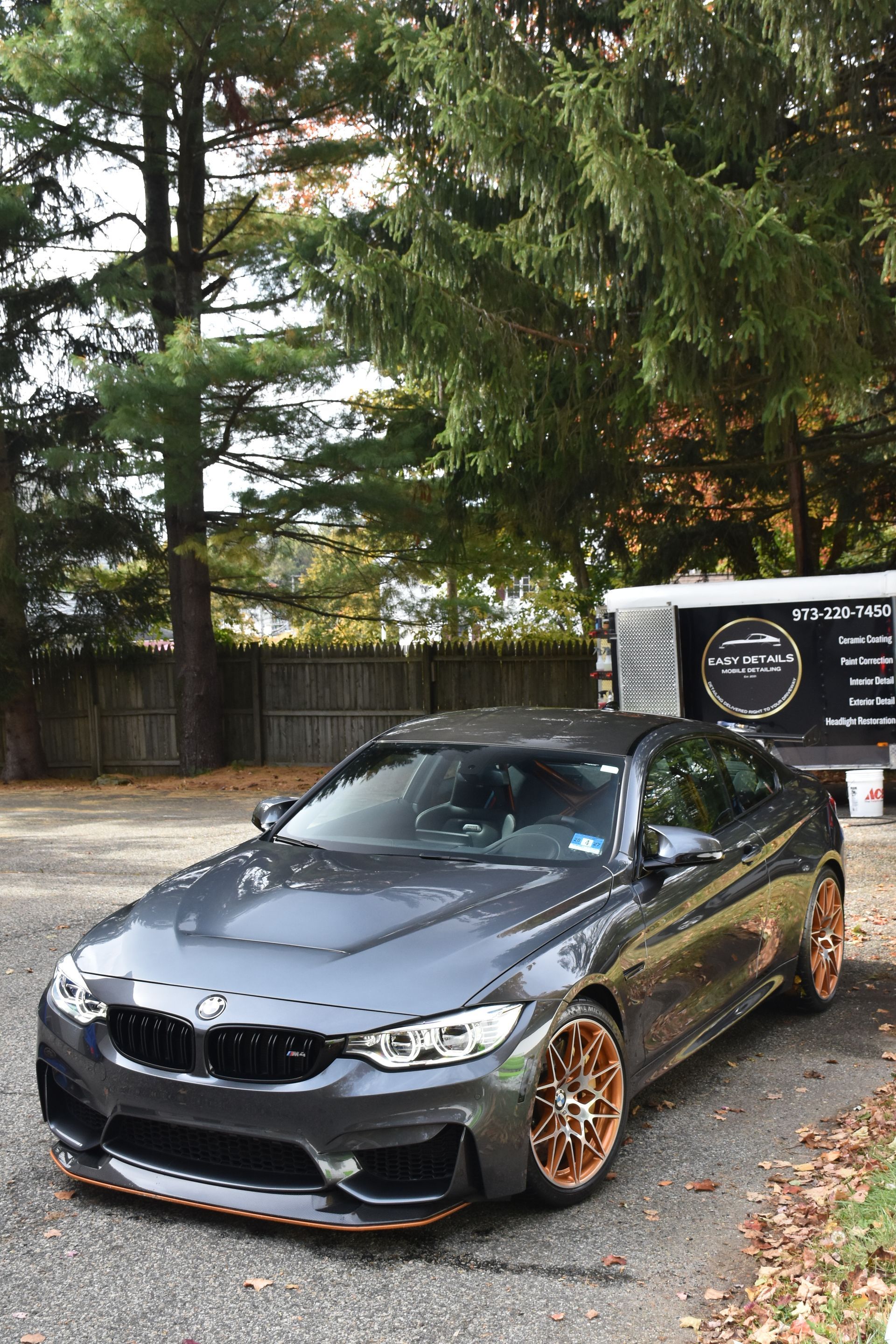 Black Tesla Cybertruck parked on a driveway with a tree and foliage in the background.
