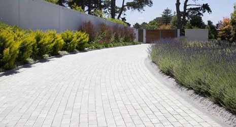 a long driveway installed near the garden area