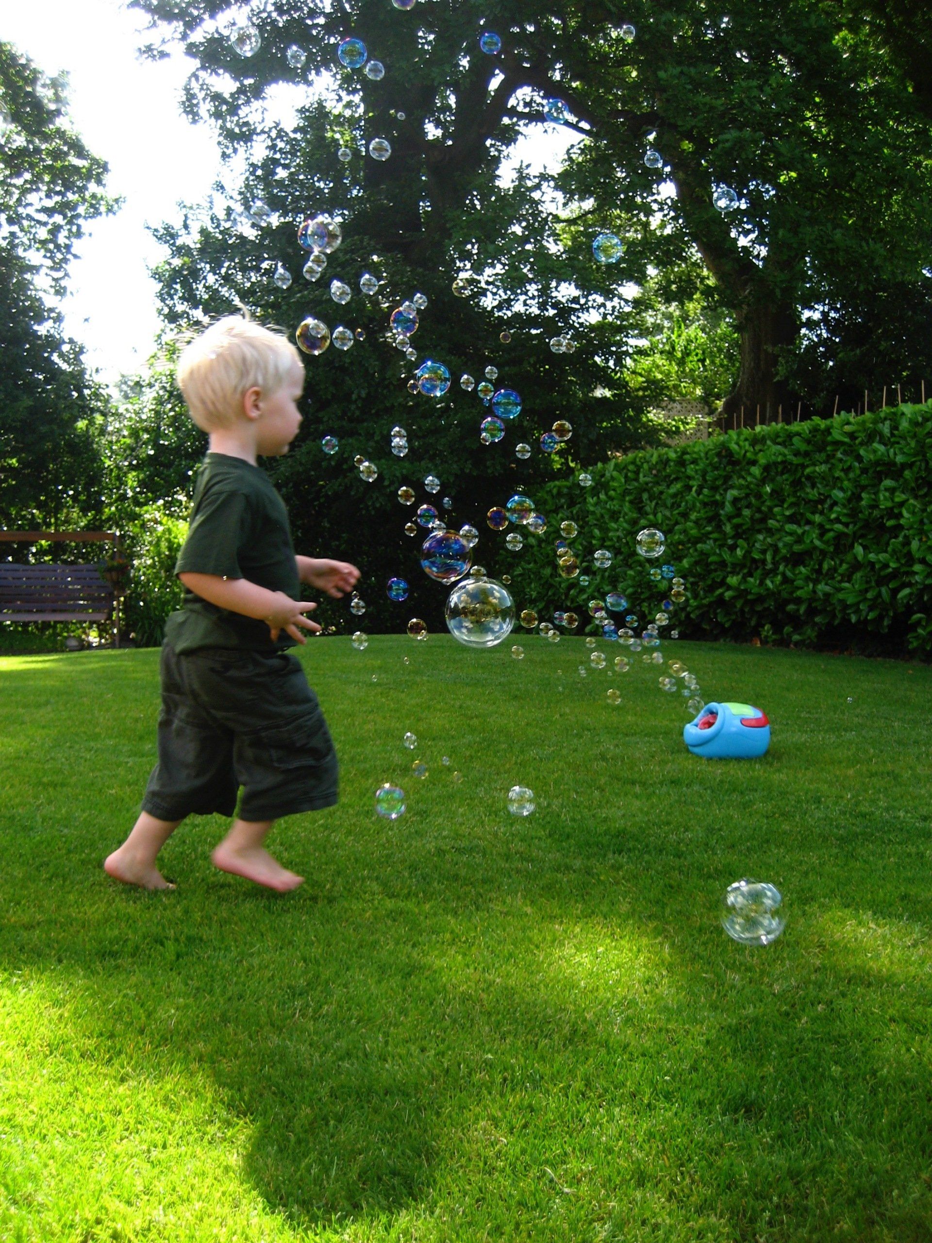 child minder swansea