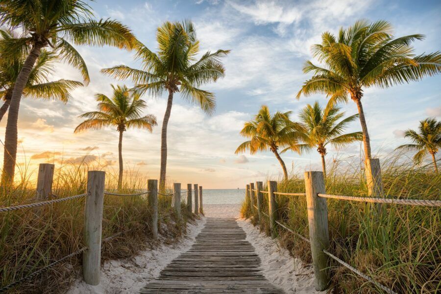 Wooden walkway to a beach lined with palm trees at sunset.