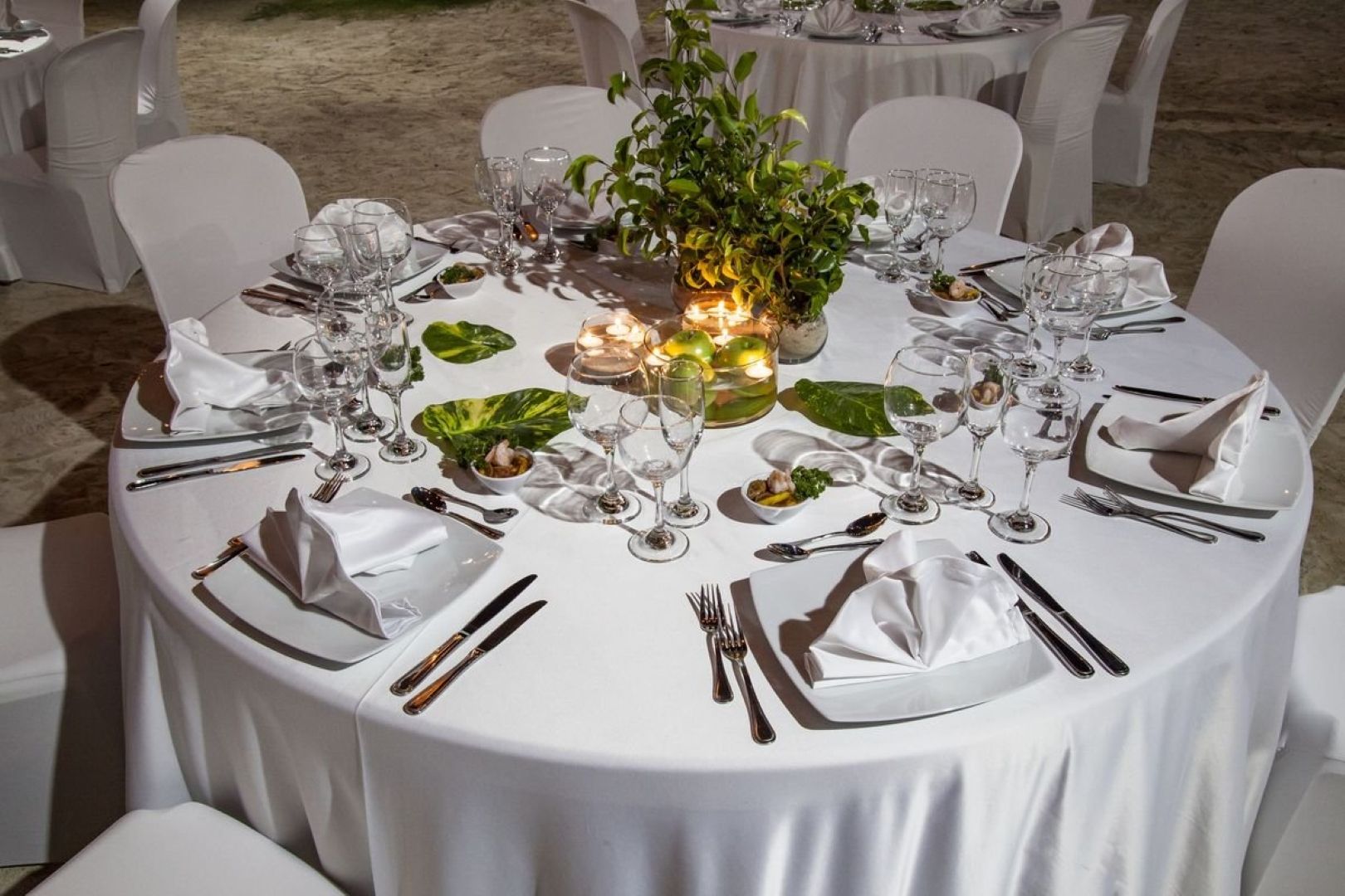 Se está celebrando una ceremonia de boda en una playa tropical.