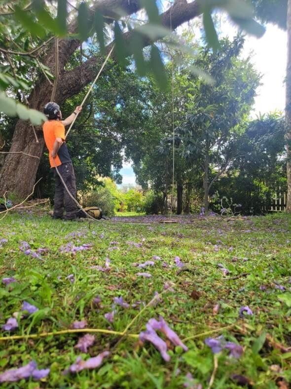 arborist southeastern melbourne