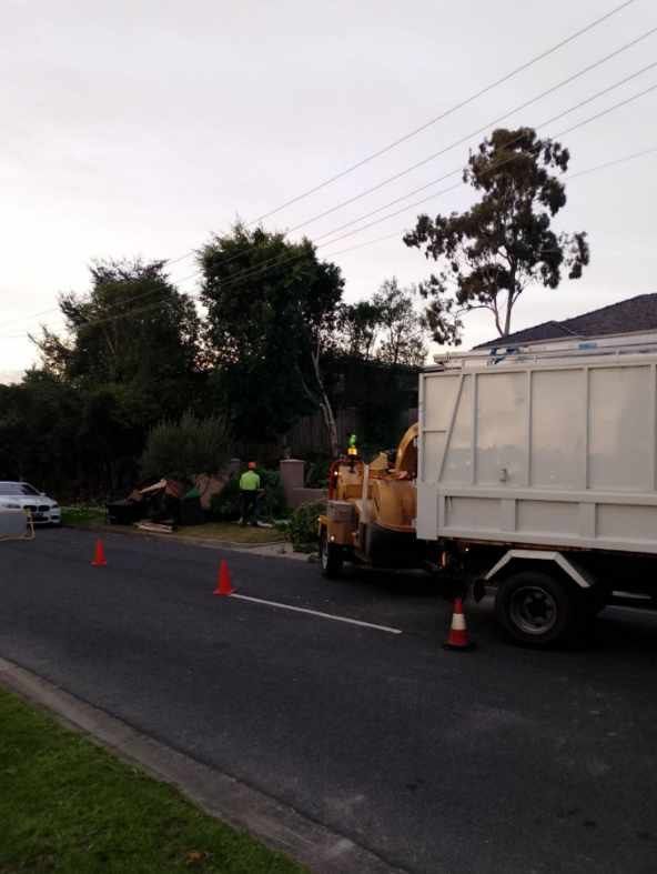 tree services south east melbourne