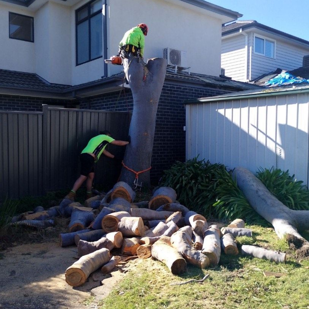 Stump Grinding Hampton