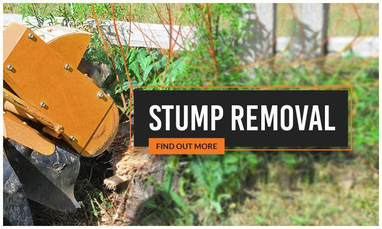 affordable tree loppers stump removal