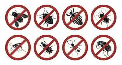 Pests - Pest Control in Wilson NC