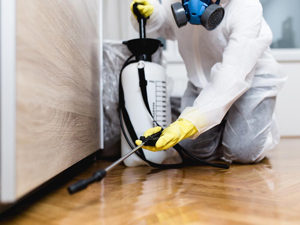 Exterminator in work wear spraying pesticide or insecticide with sprayer.