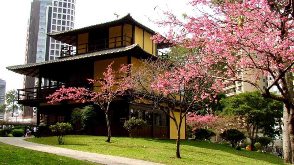 A house with pink flowers on the trees in front of it
