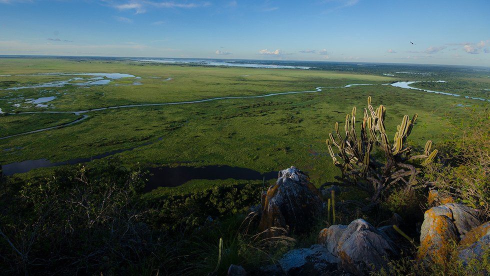 A panoramic view of a valley with rocks and bushes