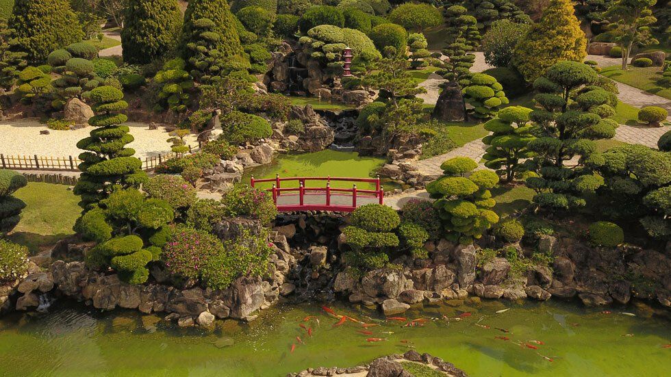 An aerial view of a garden with a red bridge over a pond.