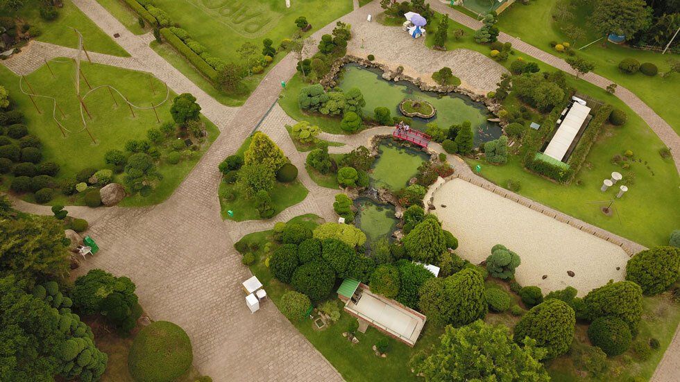 An aerial view of a park filled with lots of trees and grass.