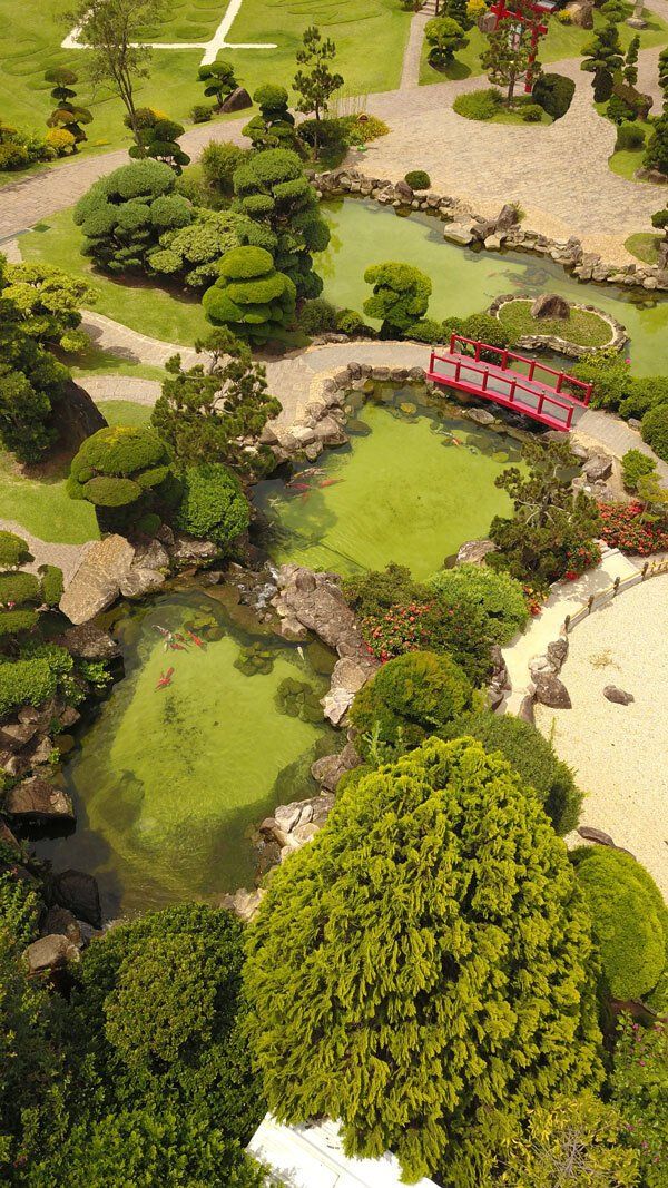 An aerial view of a garden with trees and a bridge.