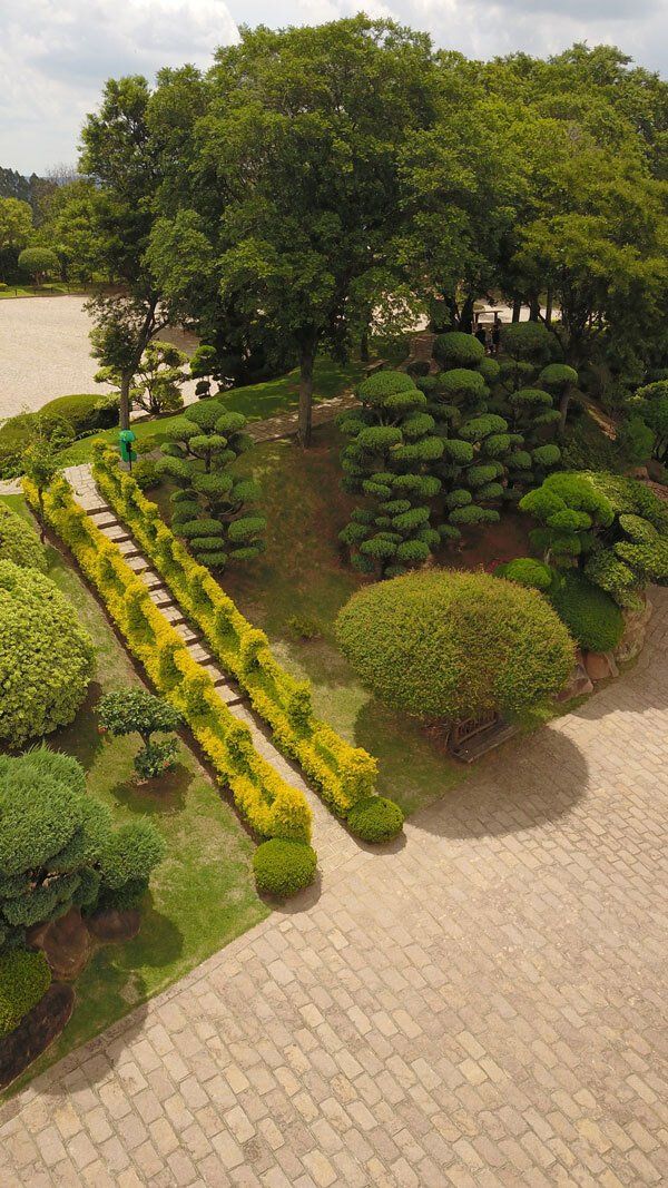 An aerial view of a park filled with lots of trees and bushes.