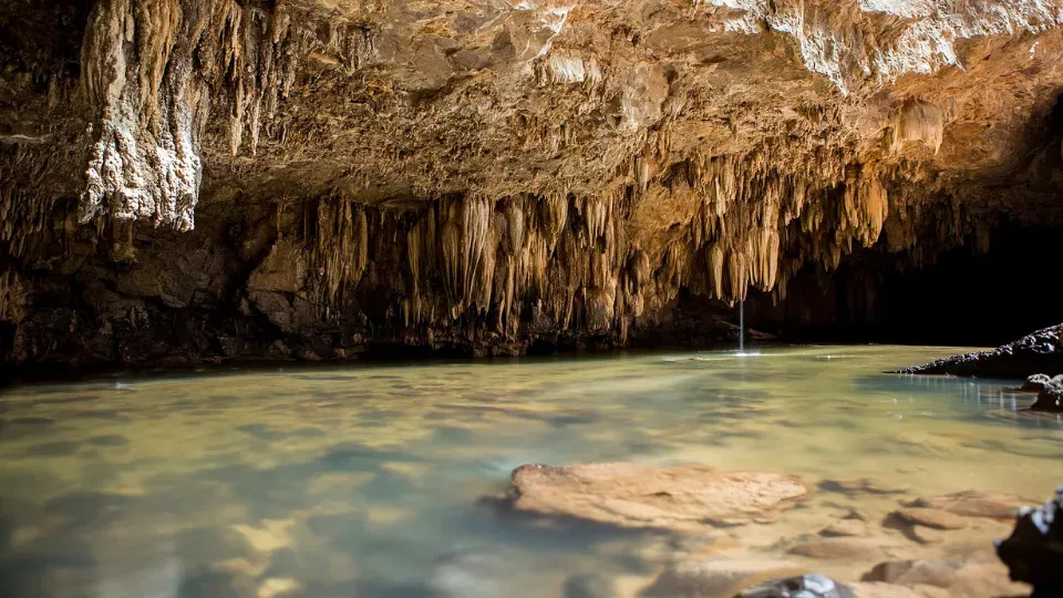 Terra Ronca State Park is a haven of caves and grottoes, being one of the largest places in Latin America to observe these rock formations.