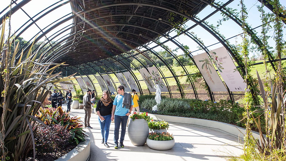 A street view of a Colonial Church in Santos A man and a woman are walking through a greenhouse.
