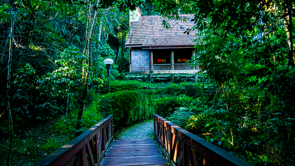 A wooden bridge leading to a small house in the middle of a forest.