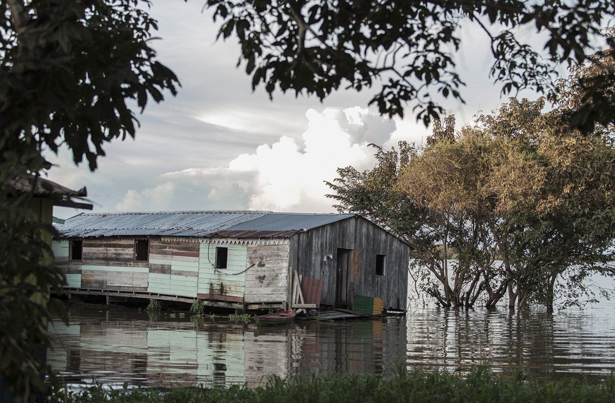 House floating on the Amazon with a submerged tree.