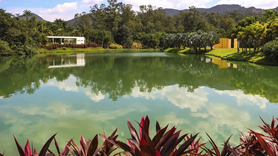 Inhotim nature's landscape