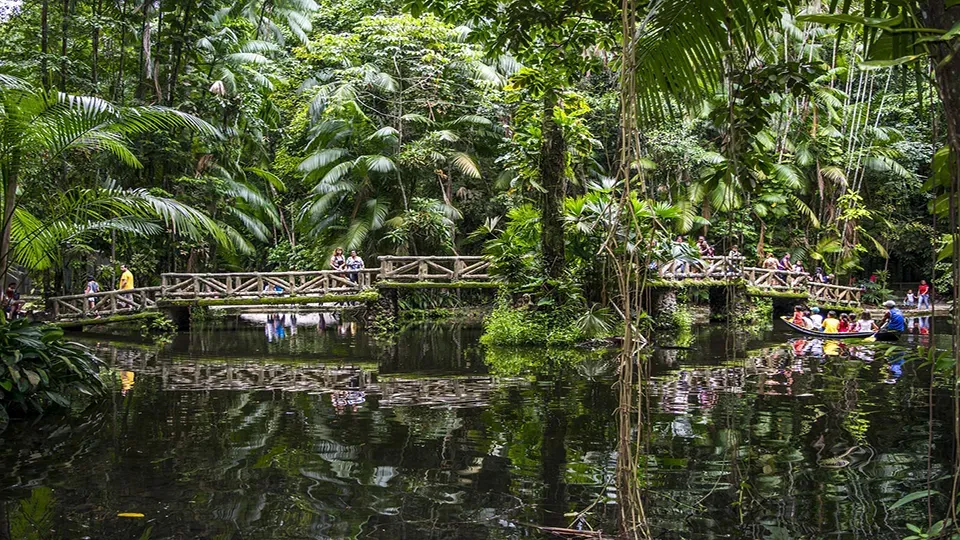 Small lake inside the Bosque Rodrigues Alves, in Belém.