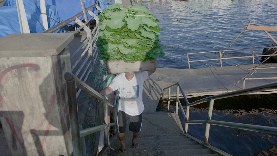 A man is carrying a large watermelon on his head.