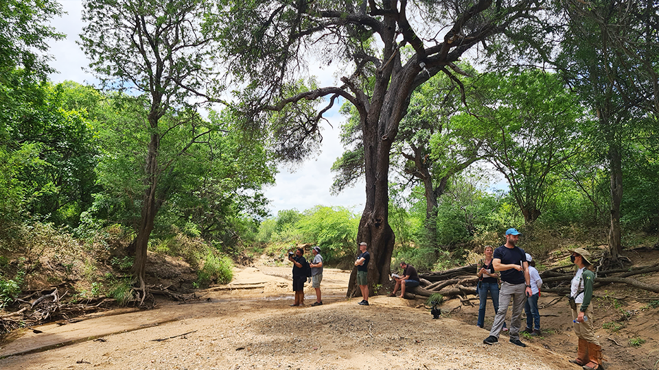 Story Productions Crew on Location filming the natural enviorent where macaws are preserved A group of people are standing on a dirt road in the woods.