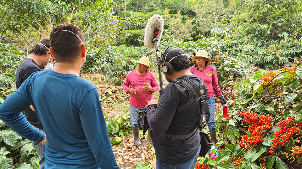 A group of people are standing in a field talking to each other.