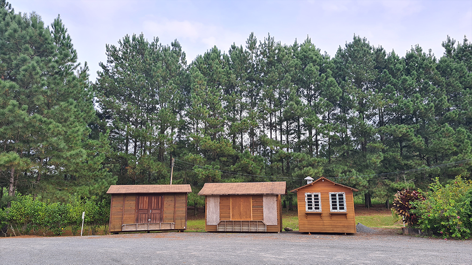 Three wooden sheds are lined up in a parking lot in front of a forest.