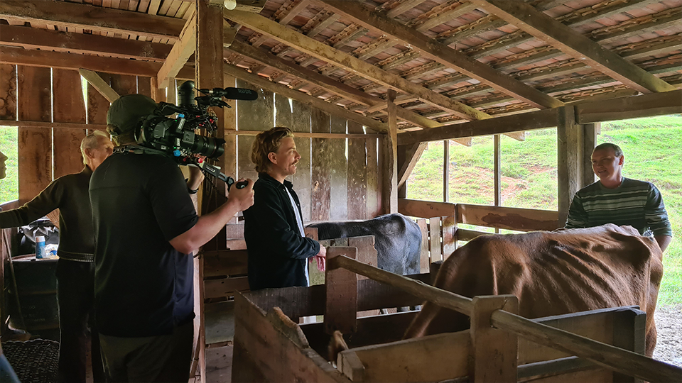 A group of people are standing in a barn with a camera.