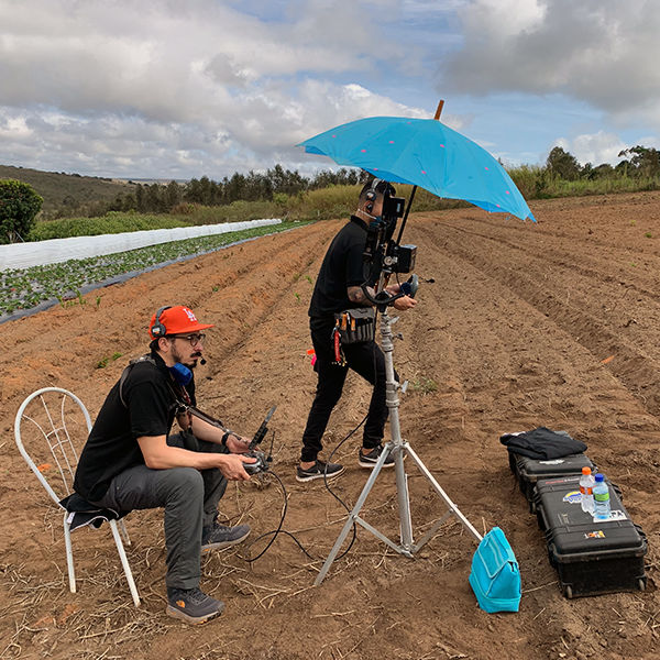 Equipo de producción de historias en una finca de café Two men are standing in a field with a blue umbrella.