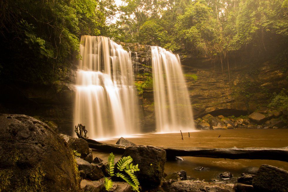 A waterfall in the middle of a lush green forest