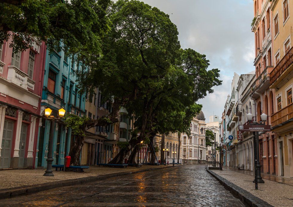 An empty street with trees and buildings on a rainy day.