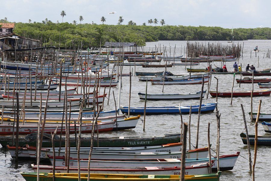 A bunch of boats are lined up in the water and one of them has the word tea on it