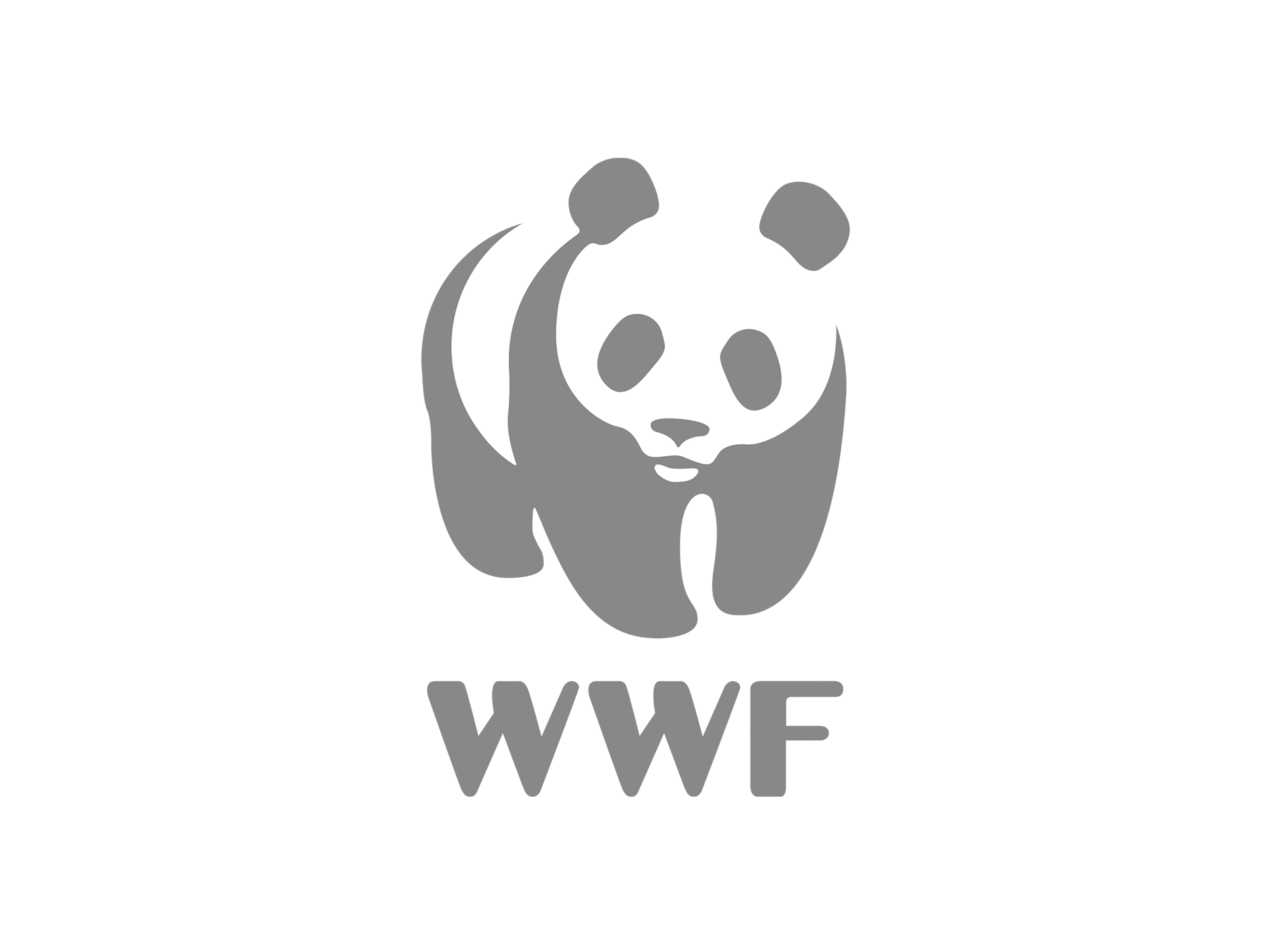 WWF Logo