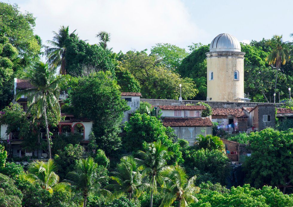 A tower in the middle of a lush green forest