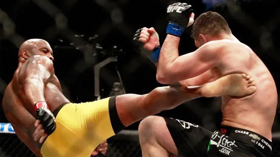 Pelea de artes marciales mixtas