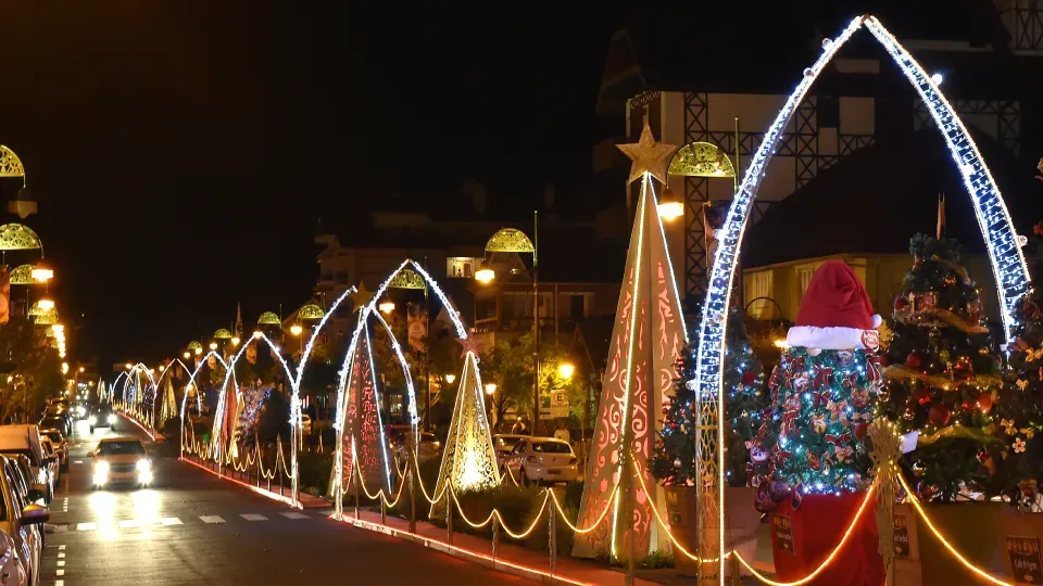 A street is decorated with christmas lights and trees at night.
