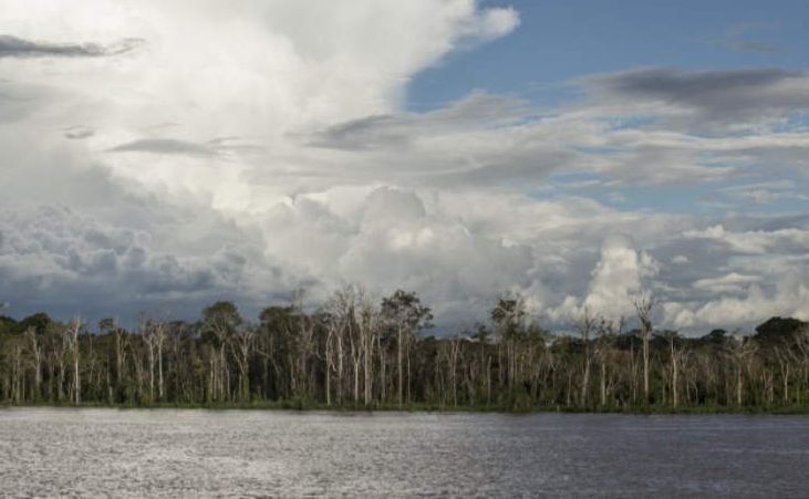A large body of water with trees in the background and clouds in the sky.