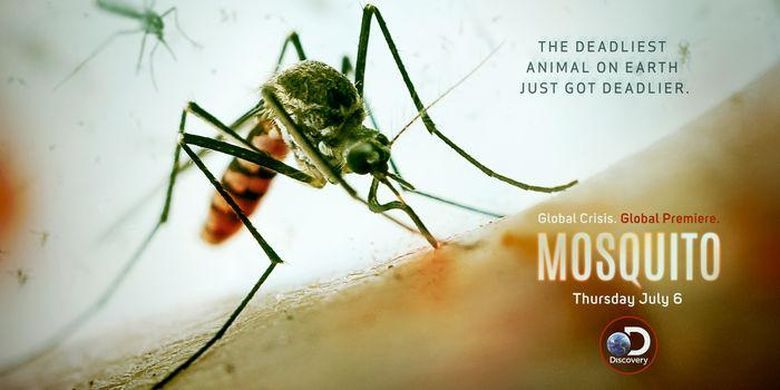 A poster for a documentary called mosquito shows a mosquito biting a person 's arm