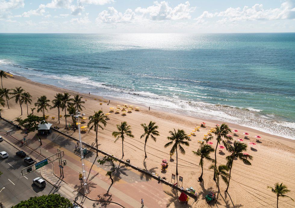 An aerial view of a beach with palm trees and the ocean.