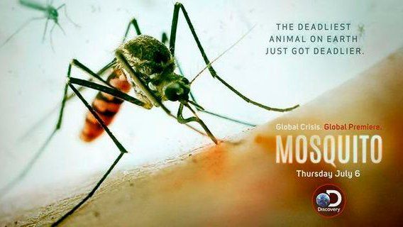 A mosquito is on a poster that says the deadliest animal on earth just got deadlier