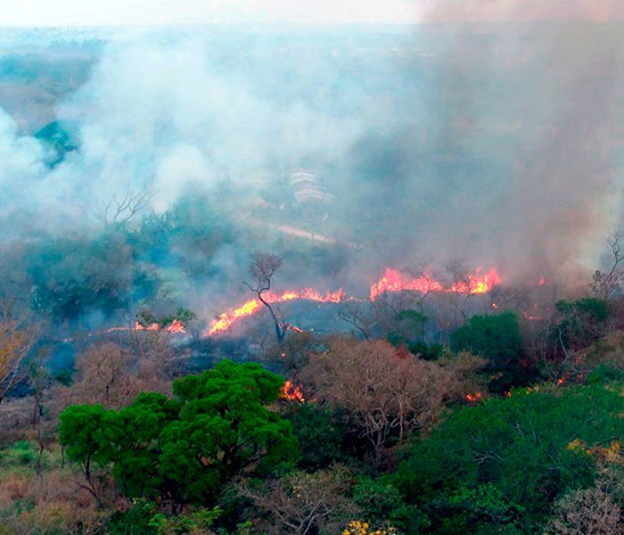An aerial view of a forest fire with smoke coming out of it.